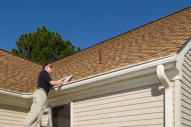 Best Roof Moss and Algae Removal  in Wilmington Manor, DE
